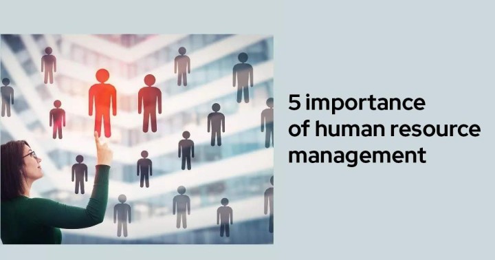 5 Importance of Human Resource Management